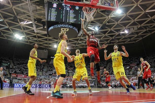 灰熊大胜爵 灰熊大胜爵