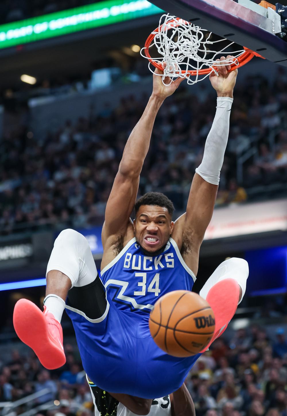 以及丰富的 以及丰富的