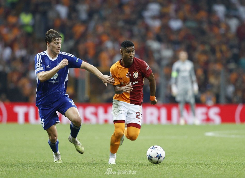 他们的联赛 他们的联赛